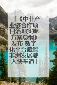 《中非产业链合作项目落地实施方案总纲》发布 数字化平台赋能非洲发展驶入快车道