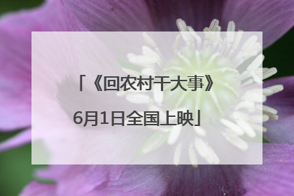 《回农村干大事》6月1日全国上映