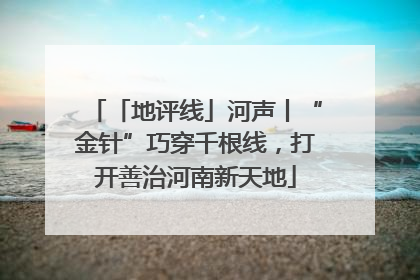 「地评线」河声丨“金针”巧穿千根线，打开善治河南新天地