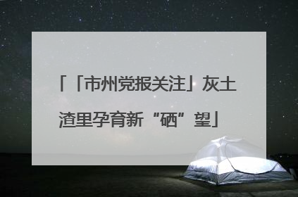 「市州党报关注」灰土渣里孕育新“硒”望
