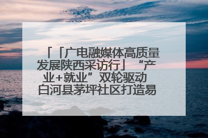 「广电融媒体高质量发展陕西采访行」“产业+就业”双轮驱动 白河县茅坪社区打造易地搬迁后扶新样本