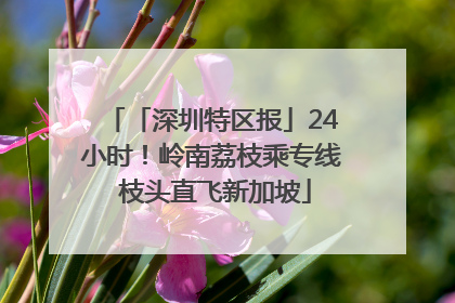 「深圳特区报」24小时！岭南荔枝乘专线 枝头直飞新加坡