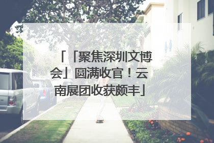 「聚焦深圳文博会」圆满收官！云南展团收获颇丰