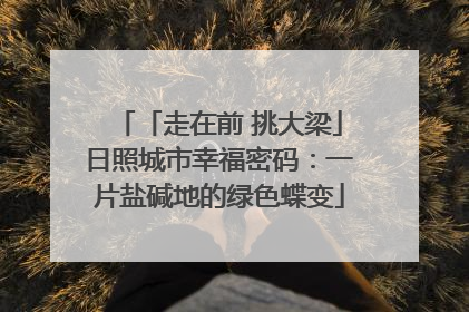 「走在前 挑大梁」日照城市幸福密码：一片盐碱地的绿色蝶变