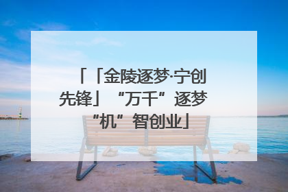 「金陵逐梦·宁创先锋」“万千”逐梦 “机”智创业