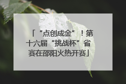 “点创成金”！第十六届“挑战杯”省赛在邵阳火热开赛
