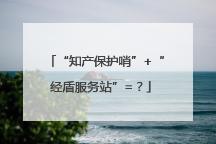 “知产保护哨”+“经盾服务站”=？