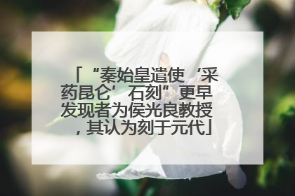 “秦始皇遣使‘采药昆仑’石刻”更早发现者为侯光良教授，其认为刻于元代