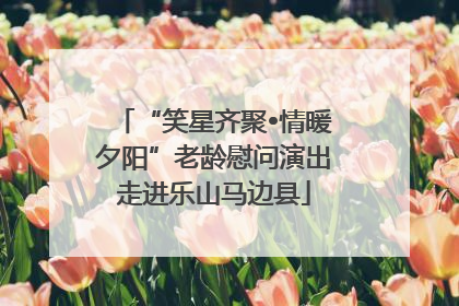 “笑星齐聚•情暖夕阳”老龄慰问演出走进乐山马边县