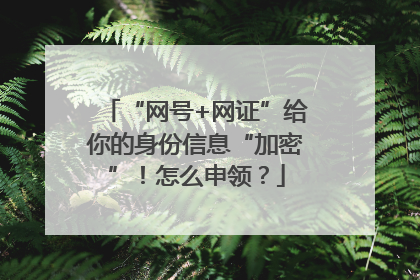 “网号+网证”给你的身份信息“加密”！怎么申领？