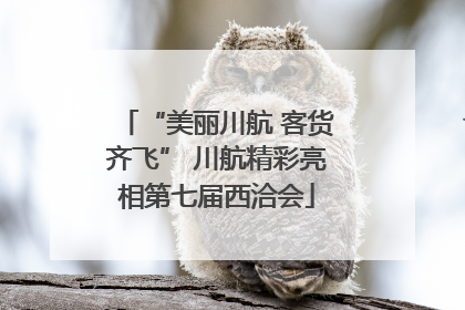 “美丽川航 客货齐飞” 川航精彩亮相第七届西洽会