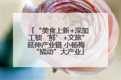 “美食上新+深加工锁‘鲜’+文旅”延伸产业链 小杨梅“撬动”大产业