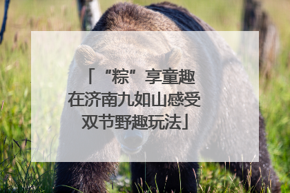“粽”享童趣 在济南九如山感受双节野趣玩法