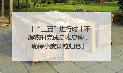 “三夏”进行时丨不误农时完成夏收夏种，确保小麦颗粒归仓