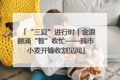 “三夏”进行时｜金浪翻涌“智”收忙——我市小麦开镰收割见闻