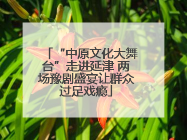 “中原文化大舞台”走进延津 两场豫剧盛宴让群众过足戏瘾