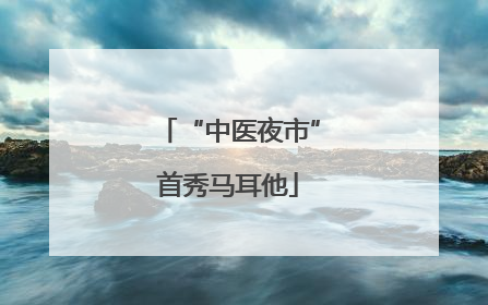 “中医夜市”首秀马耳他