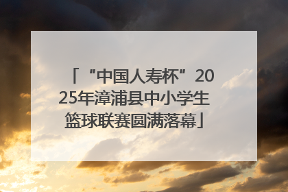 “中国人寿杯”2025年漳浦县中小学生篮球联赛圆满落幕