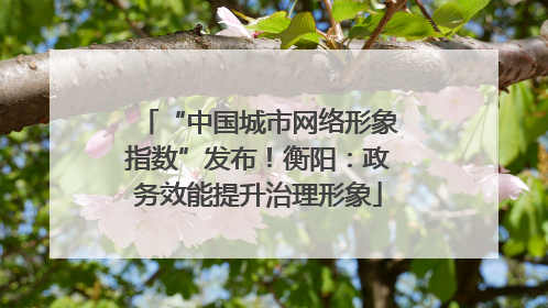 “中国城市网络形象指数”发布！衡阳：政务效能提升治理形象