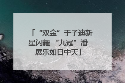 “双金”于子迪新星闪耀 “九冠”潘展乐如日中天
