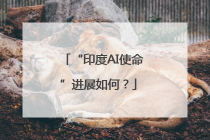 “印度AI使命”进展如何？