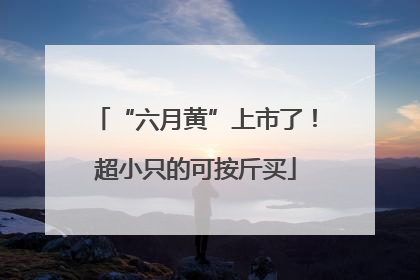 “六月黄”上市了！超小只的可按斤买