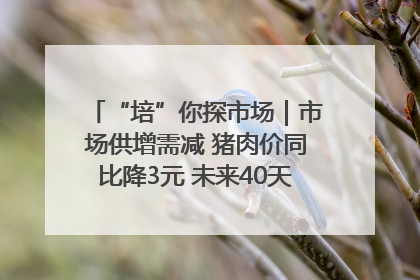 “培”你探市场｜市场供增需减 猪肉价同比降3元 未来40天便宜猪肉敞开吃