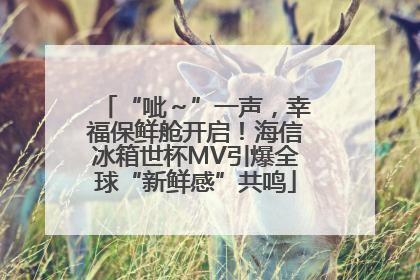 “呲～”一声，幸福保鲜舱开启！海信冰箱世杯MV引爆全球“新鲜感”共鸣