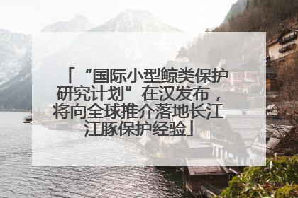 “国际小型鲸类保护研究计划”在汉发布，将向全球推介落地长江江豚保护经验