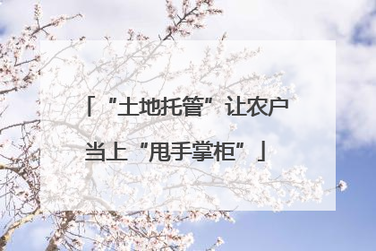 “土地托管”让农户当上“甩手掌柜”