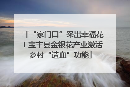 “家门口”采出幸福花！宝丰县金银花产业激活乡村“造血”功能