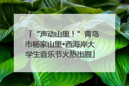 “声动山里！”青岛市杨家山里•西海岸大学生音乐节火热出圈