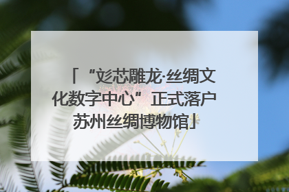 “彣芯雕龙·丝绸文化数字中心”正式落户苏州丝绸博物馆