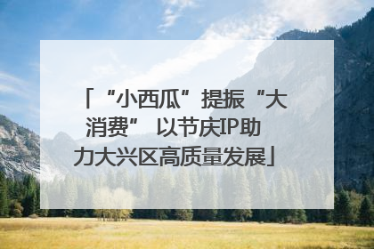 “小西瓜”提振“大消费” 以节庆IP助力大兴区高质量发展
