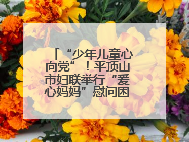 “少年儿童心向党”！平顶山市妇联举行“爱心妈妈”慰问困境儿童活动