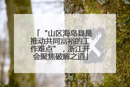 “山区海岛县是推动共同富裕的工作难点”，浙江开会聚焦破解之道