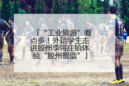 “工业旅游”看点多！外籍学生走进胶州李哥庄镇体验“胶州智造”