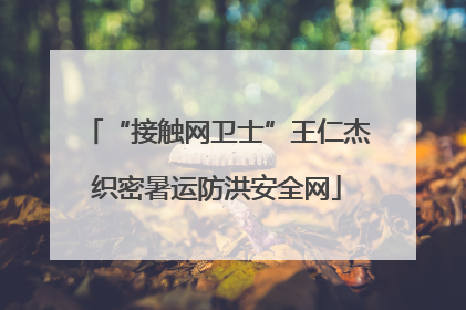 “接触网卫士”王仁杰织密暑运防洪安全网