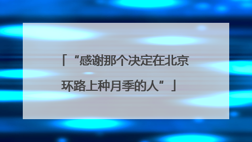 “感谢那个决定在北京环路上种月季的人”