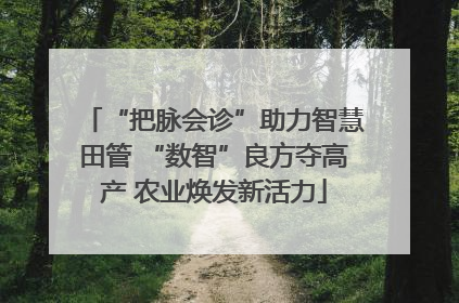 “把脉会诊”助力智慧田管 “数智”良方夺高产 农业焕发新活力
