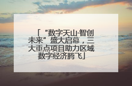 “数字天山·智创未来”盛大启幕，三大重点项目助力区域数字经济腾飞