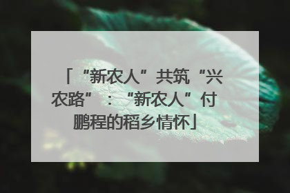 “新农人”共筑“兴农路”:“新农人”付鹏程的稻乡情怀