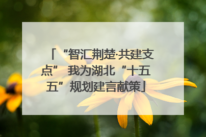 “智汇荆楚·共建支点” 我为湖北“十五五”规划建言献策