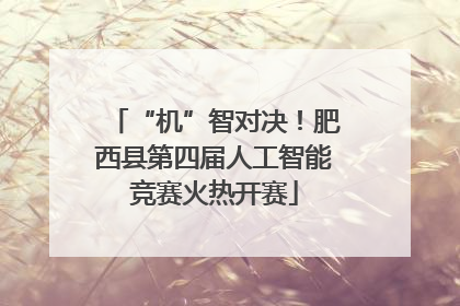 “机”智对决！肥西县第四届人工智能竞赛火热开赛