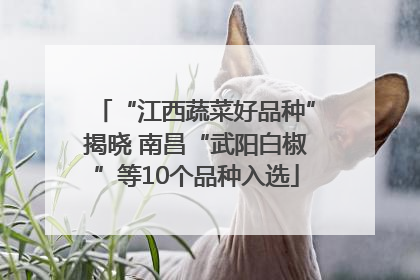 “江西蔬菜好品种”揭晓 南昌“武阳白椒”等10个品种入选