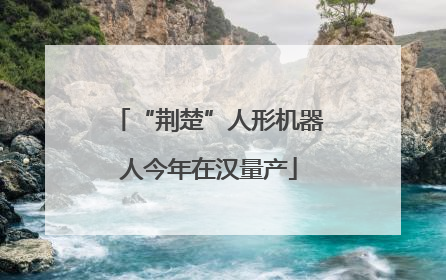 “荆楚”人形机器人今年在汉量产
