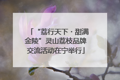 “荔行天下・甜满金陵”灵山荔枝品牌交流活动在宁举行