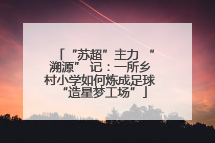 “苏超”主力 “溯源” 记：一所乡村小学如何炼成足球 “造星梦工场”