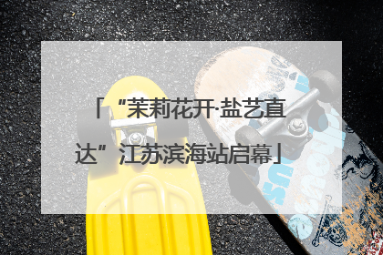 “茉莉花开·盐艺直达”江苏滨海站启幕