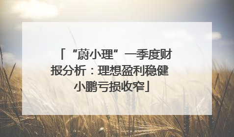 “蔚小理”一季度财报分析：理想盈利稳健 小鹏亏损收窄